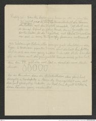 Seite 22, Umschlag mit Fotografien und losen beschriebenen Seiten, Beilage 1 zu "Palästina (Tagebuch)" (NHMW-PRAE-BBB-80-Beilage-1)